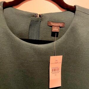 Ann Taylor dress size 14 Never worn